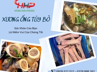 So sánh xương ống bò nhập khẩu Úc với xương bò trong nước