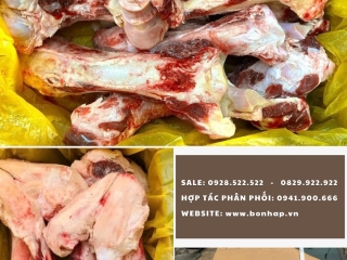 Collagen từ xương ống bò Úc – Bí quyết làm đẹp và tốt cho xương khớp