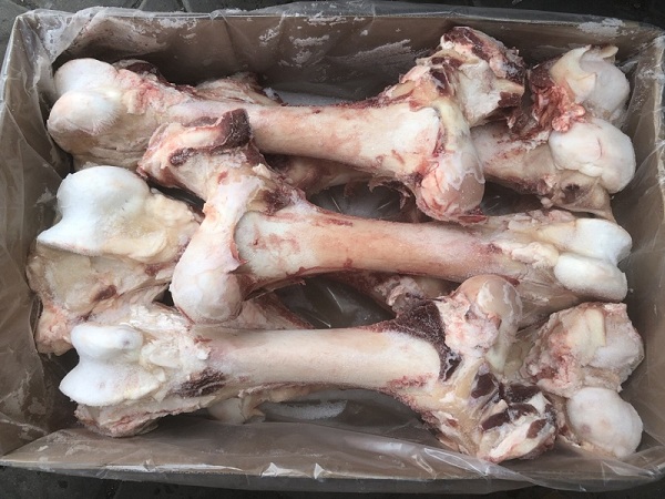Xương ống bò úc