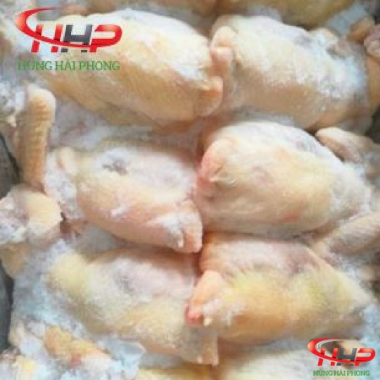 Gà Dai Hàn Quốc